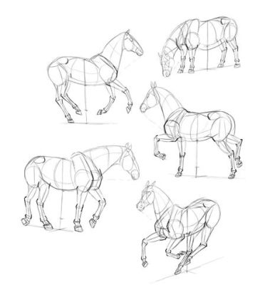 how to sketch a horse and the importance of perspective in art